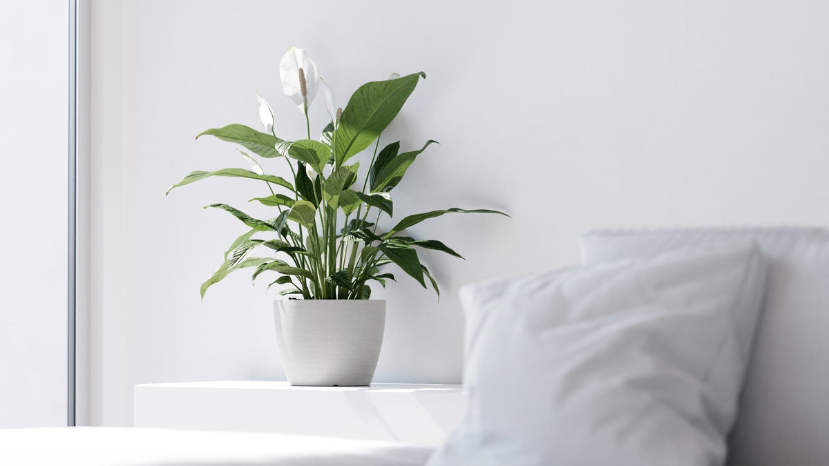 Kukkaruukku Tukholma 40cm valkoinen - Ecopots