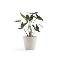 Kukkaruukku Amsterdam 40cm hiekka