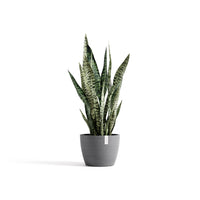 Kukkaruukku Tukholma 20cm harmaa
