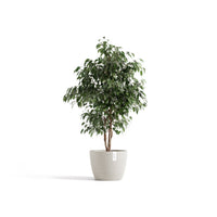 Kukkaruukku Tukholma 31cm hiekka