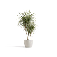 Kukkaruukku Tukholma 40cm hiekka