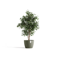 Kukkaruukku Tukholma 31cm kaki