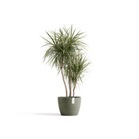 Kukkaruukku Tukholma 40cm kaki