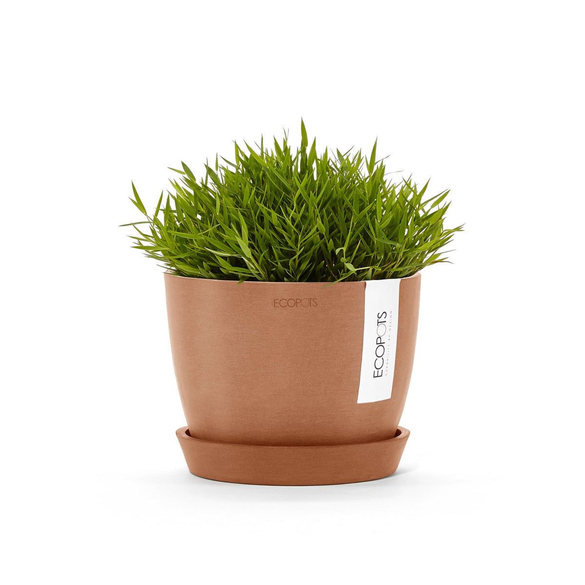 Kukkaruukku Tukholma 14cm terracotta – aluslautasen ja kasvin kanssa 3