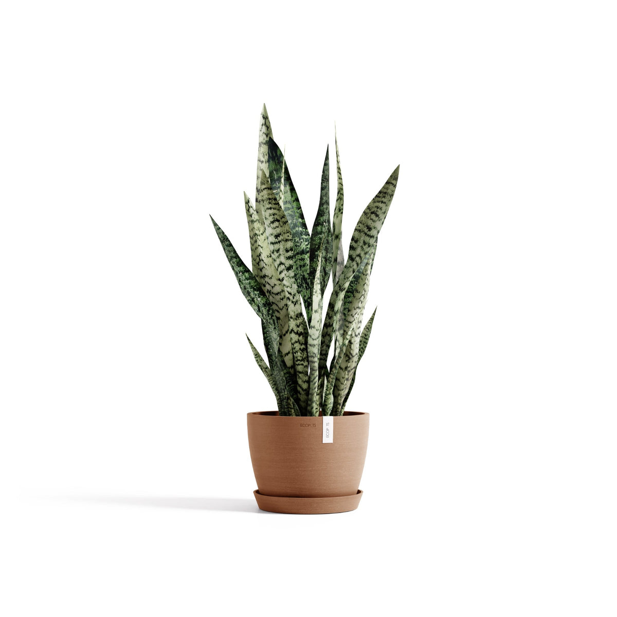 Kukkaruukku Tukholma 20cm terracotta – aluslautasen ja kasvin kanssa