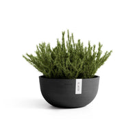 Lillepott Oslo madal 30cm tumehall