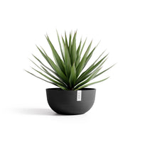 Lillepott Oslo madal 50cm tumehall