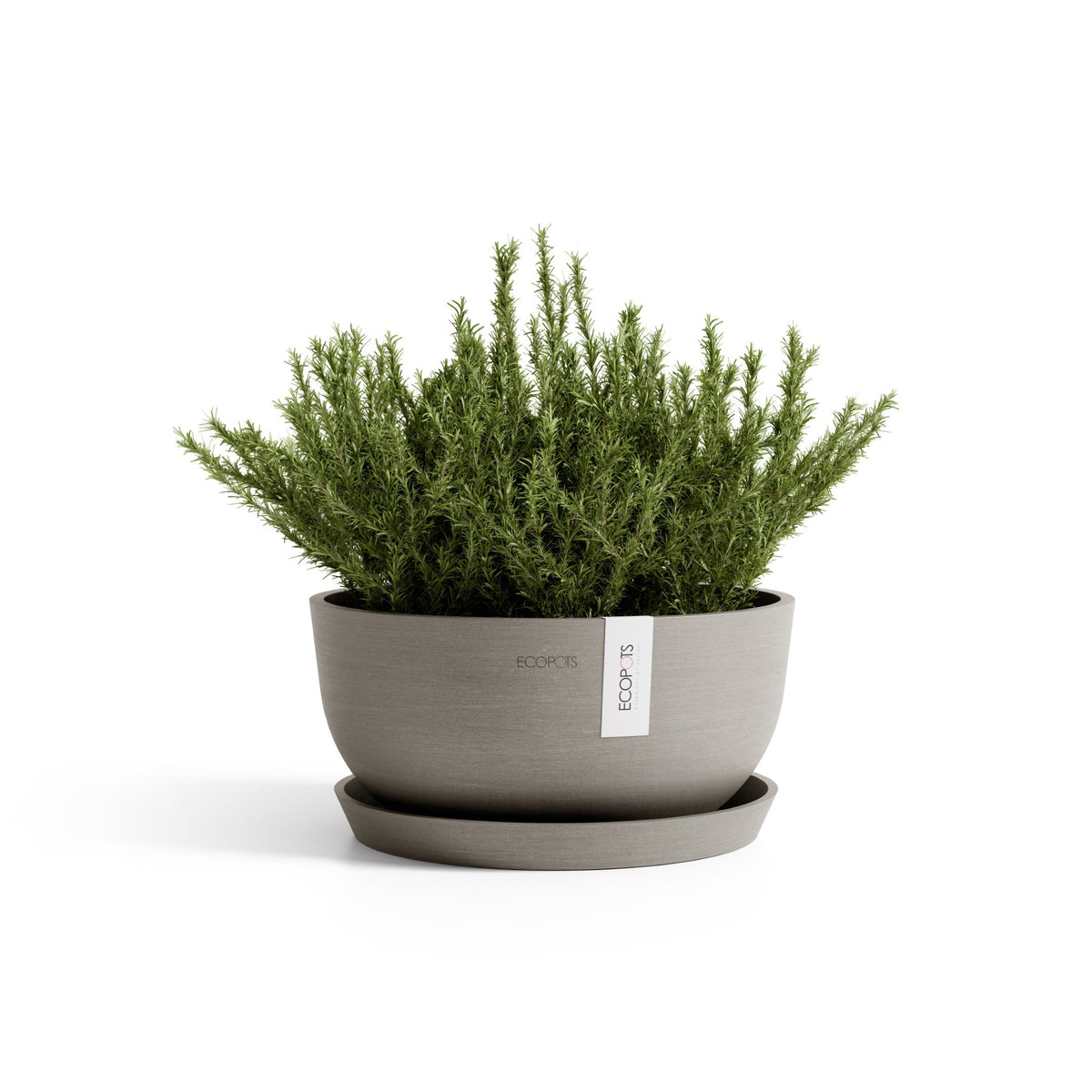 Kukkaruukku Oslo matala 30cm taupe – aluslautasen ja kasvin kanssa