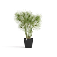 Lillepott Rotterdam design 25cm tumehall
