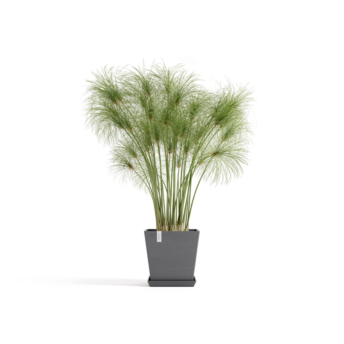Kukkaruukku Rotterdam design 25cm harmaa – aluslautasen ja kasvin kanssa