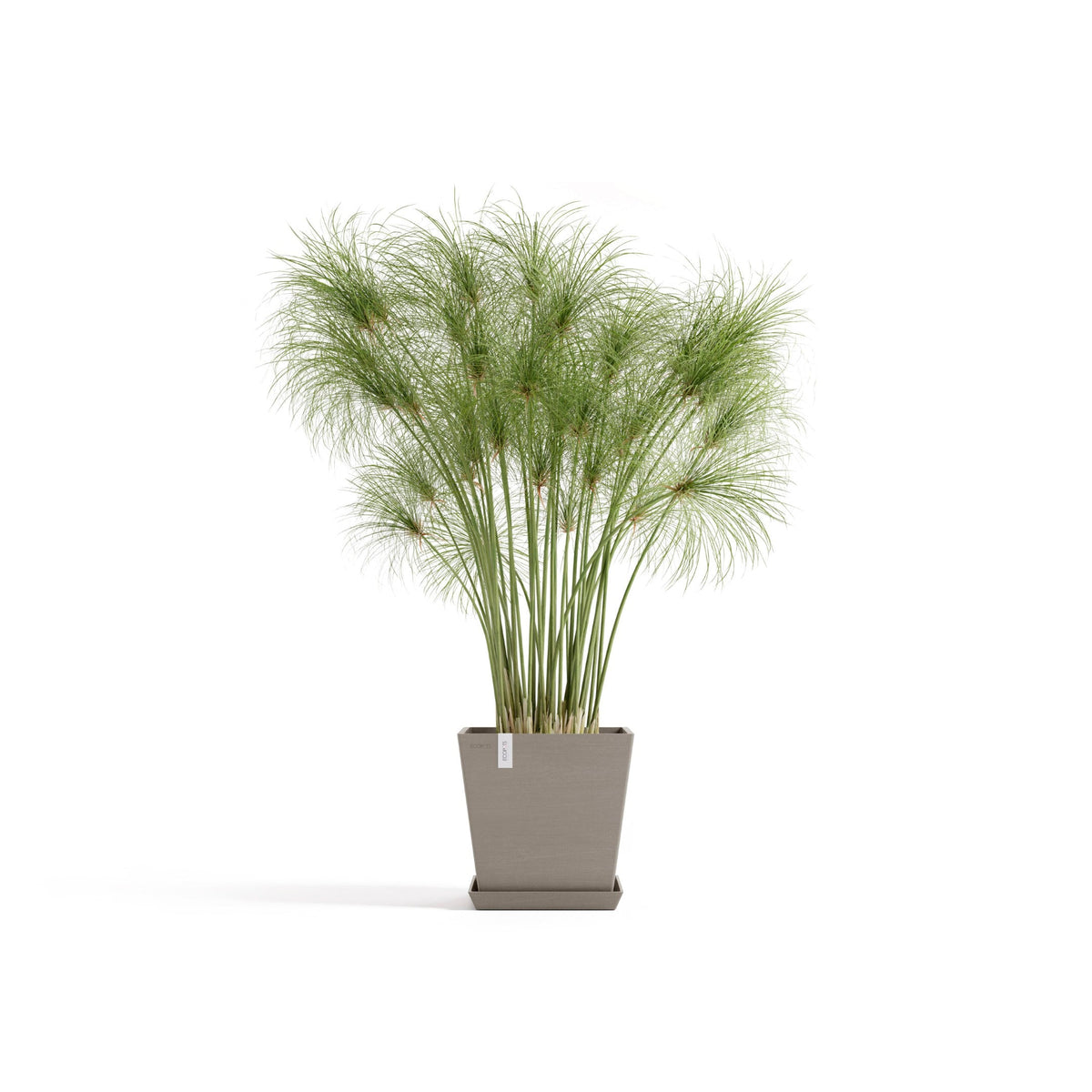 Kukkaruukku Rotterdam design 25cm taupe – aluslautasen ja kasvin kanssa
