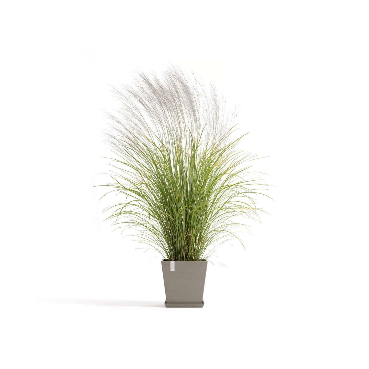 Kukkaruukku Rotterdam design 35cm taupe – kasvin kanssa 2