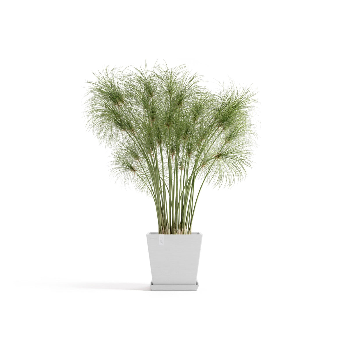 Kukkaruukku Rotterdam design 25cm valkoinen – aluslautasen ja kasvin kanssa