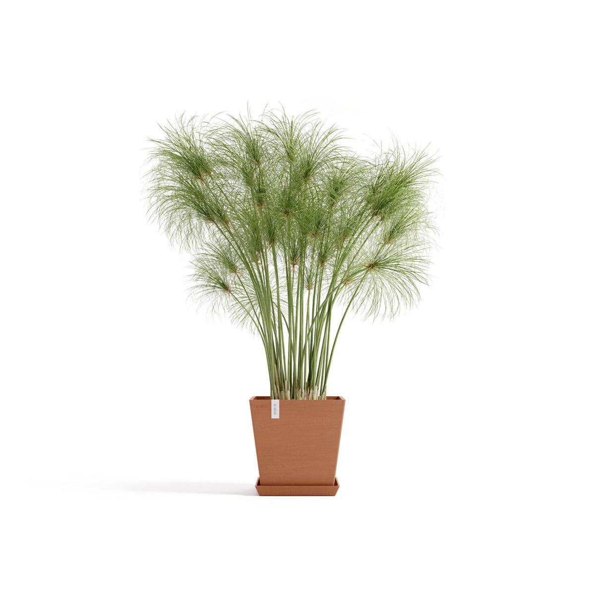 Kukkaruukku Rotterdam design 25cm terracotta – aluslautasen ja kasvin kanssa