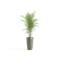 Kukkaruukku Tukholma korkea 60cm kaki