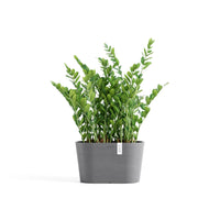 Lillepott Tokio 30cm hall