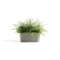 Lillepott Tokio 40cm taupe