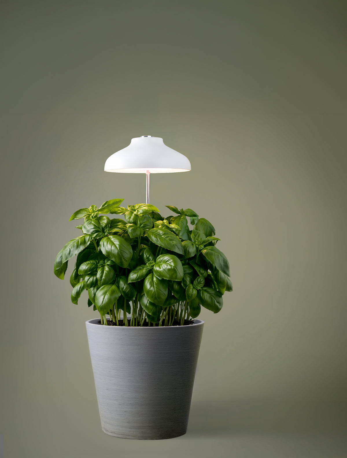 Kasvivalo Led teleskooppijalalla