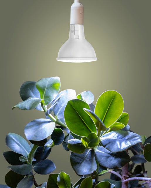 Kasvilamppu E27 25W 3-Valotilaa