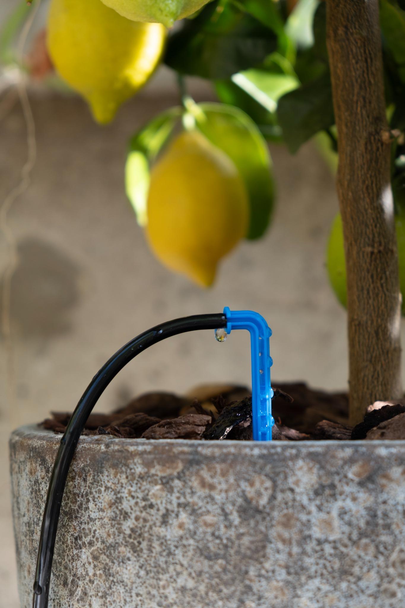 Automatisk droppbevattningsystem EcoAqua S-12