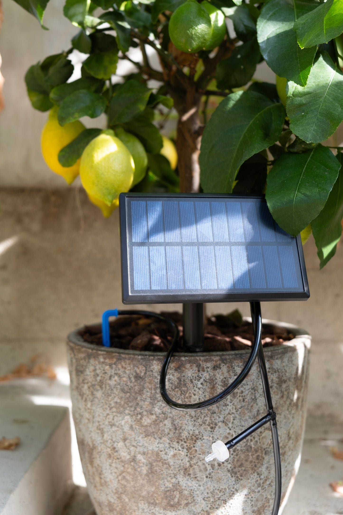Automatisk droppbevattningsystem EcoAqua S-12