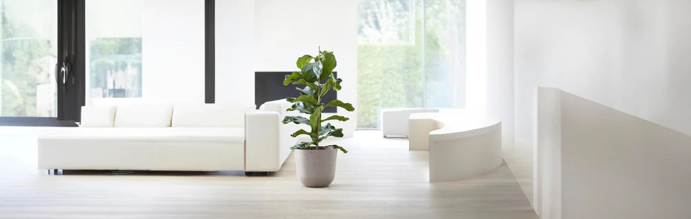 UV-protected, frost-resistant, 10-year warranty.