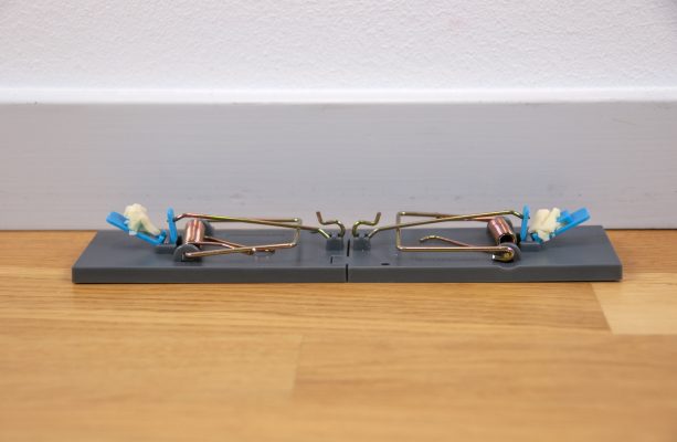 Hiirenloukku Brave M4, 4-pack