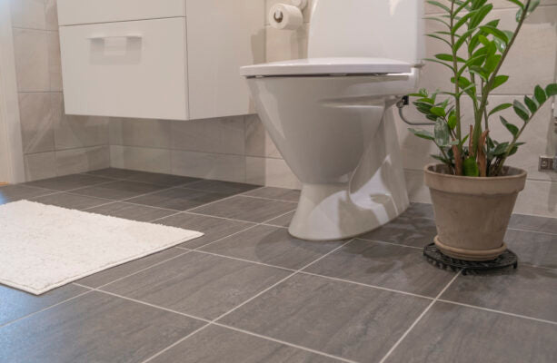 Sugar caterpillar trap 2-pack