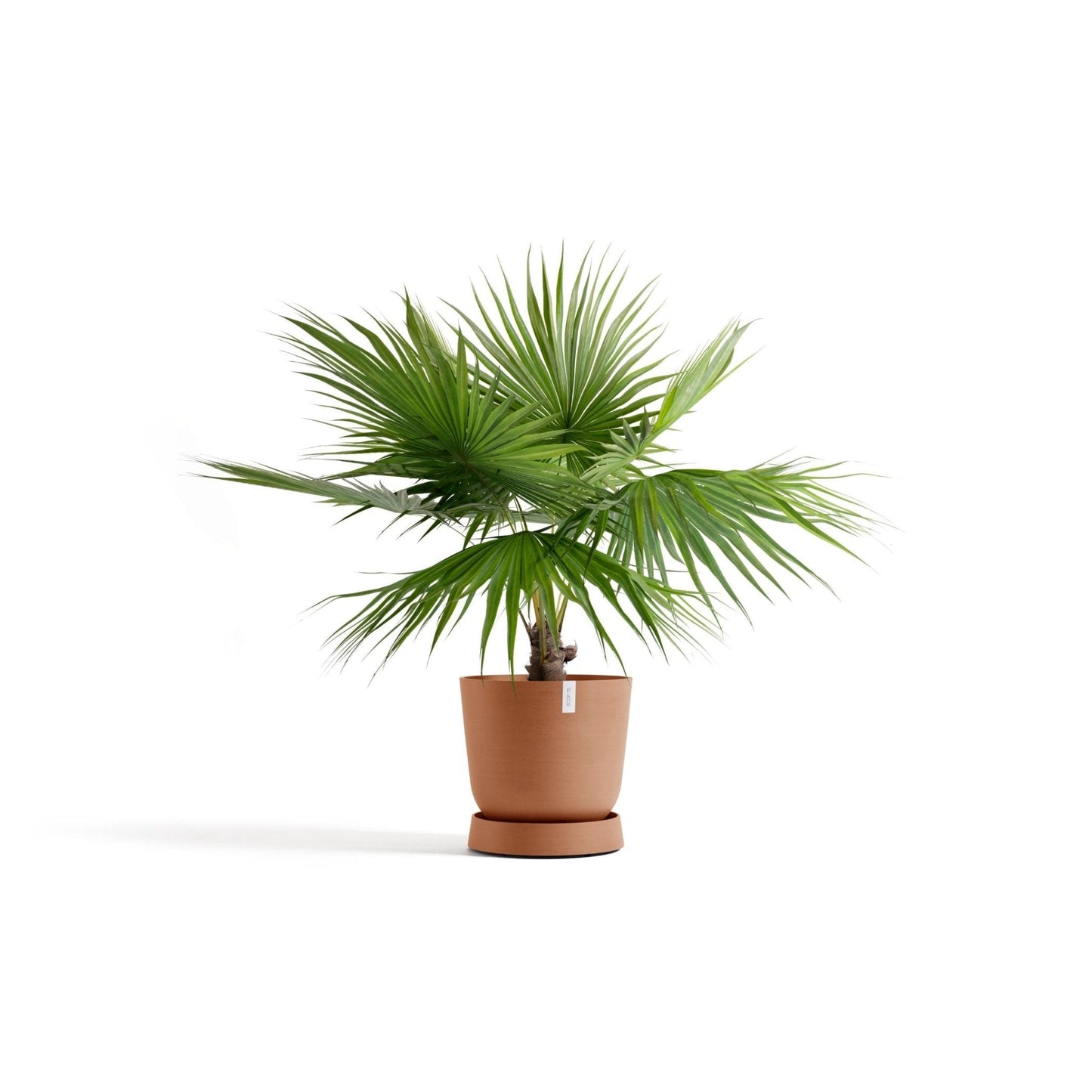 Kukkaruukku - Ecopots - Aluslautanen Oslo pyörillä 55cm terracotta - Ecopots - Uuden aikakauden kukkaruukku kierrätysmateriaalista