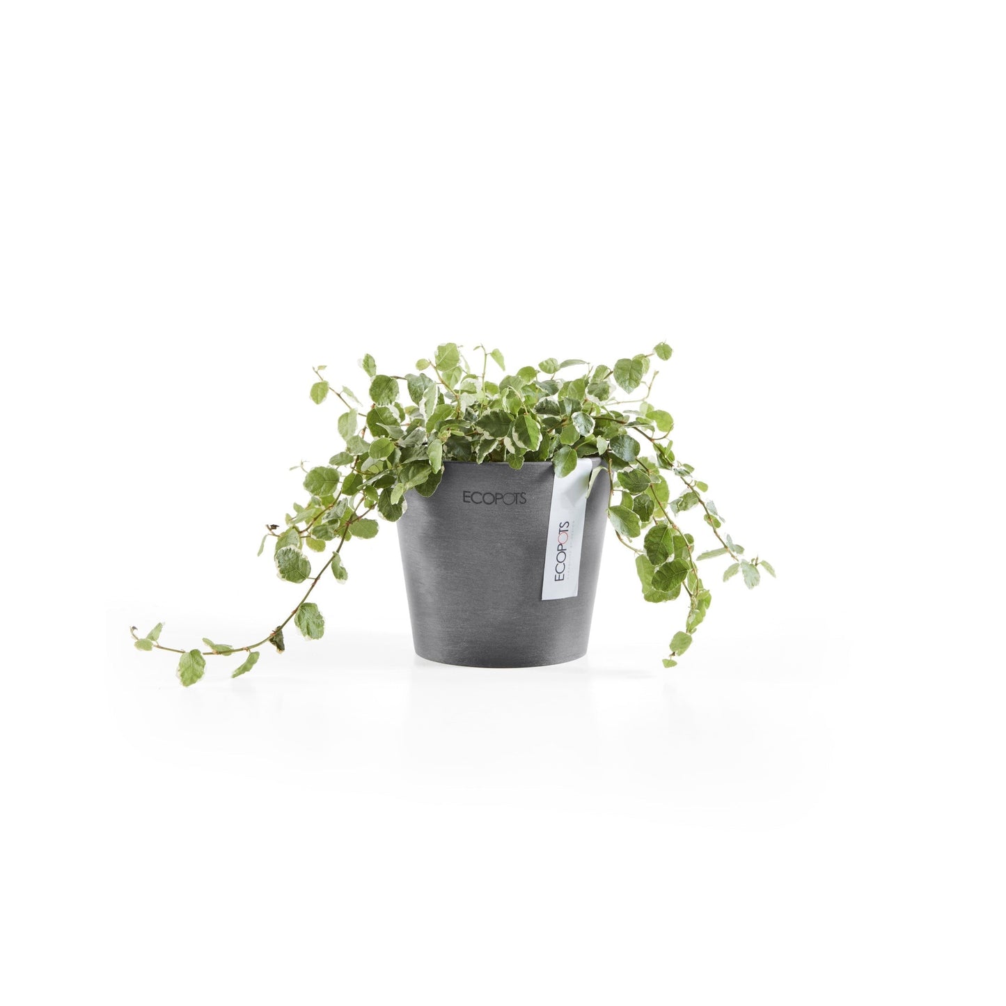 Kukkaruukku - Ecopots - Amsterdam 10,5cm harmaa - Ecopotskauppa - Uuden aikakauden kukkaruukku