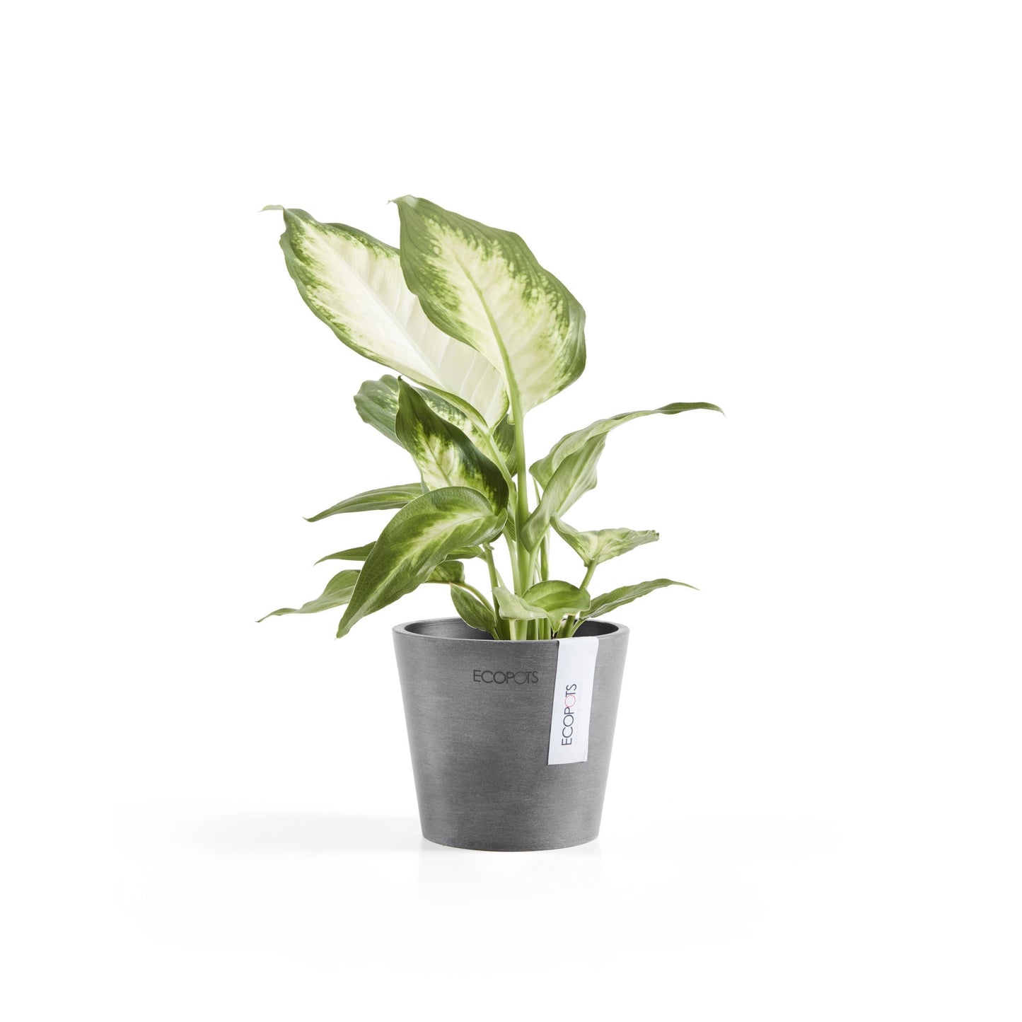 Kukkaruukku - Ecopots - Amsterdam 10,5cm harmaa - Ecopotskauppa - Uuden aikakauden kukkaruukku