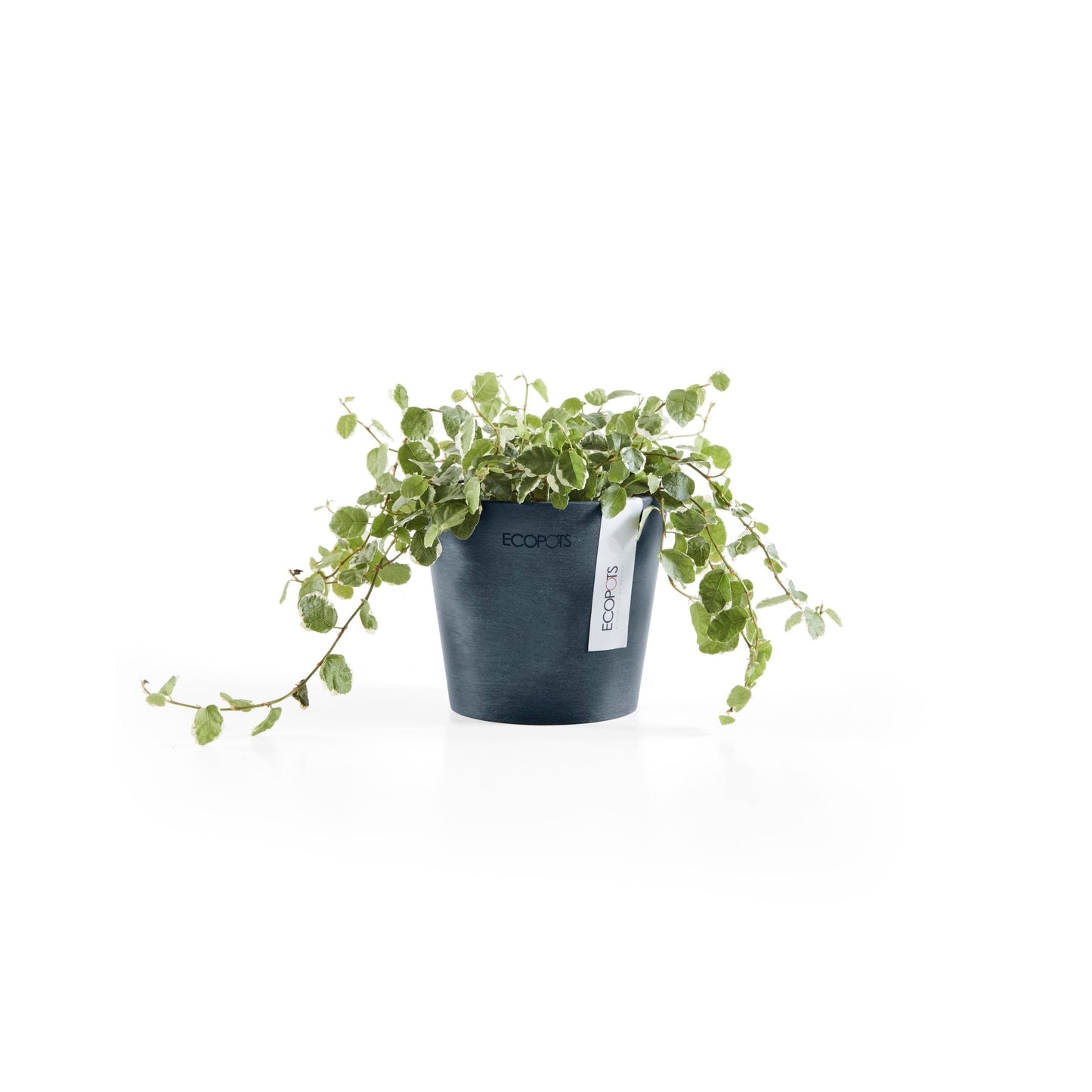 Kukkaruukku - Ecopots - Amsterdam 10,5cm tummansininen - Ecopotskauppa - Uuden aikakauden kukkaruukku