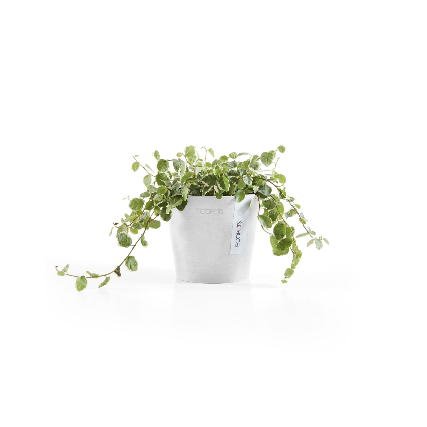 Kukkaruukku - Ecopots - Amsterdam 10,5cm valkoinen - Ecopotskauppa - Uuden aikakauden kukkaruukku