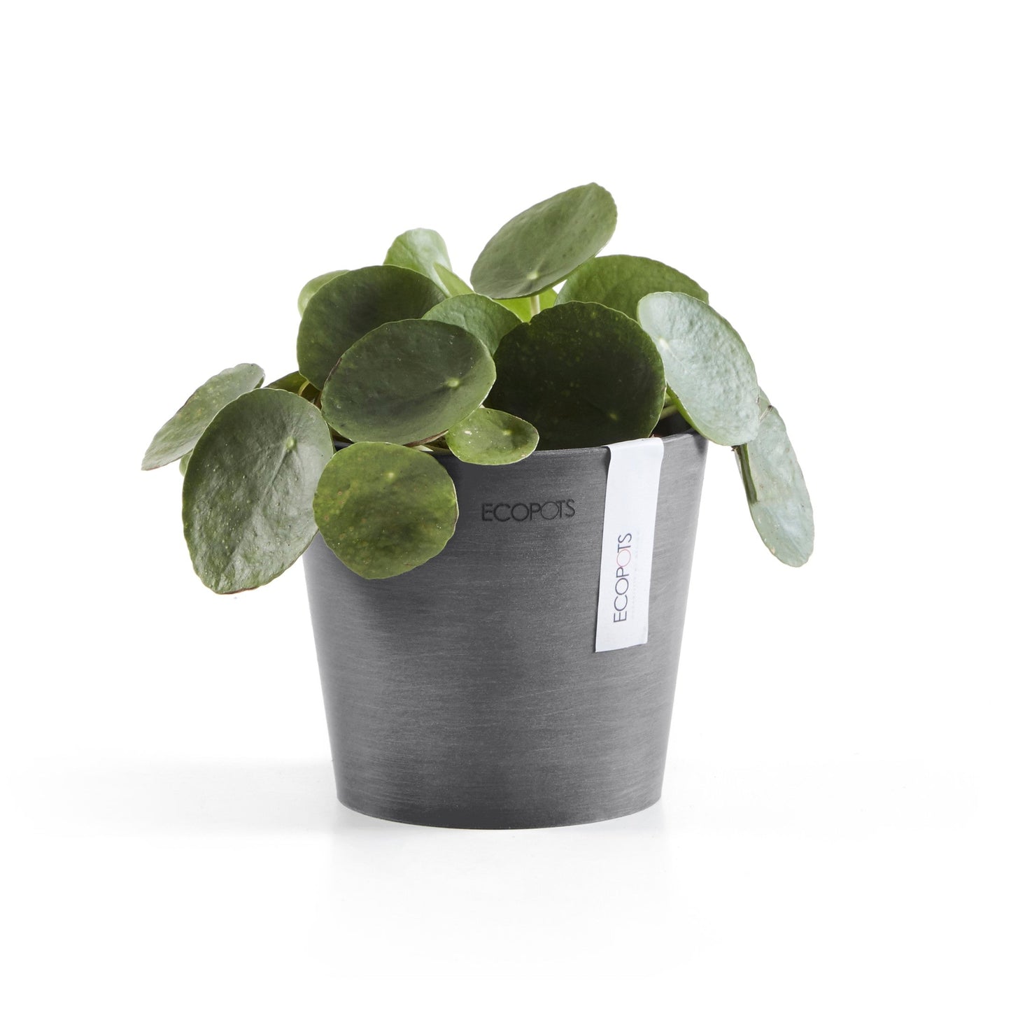 Kukkaruukku - Ecopots - Amsterdam 13cm harmaa - Ecopotskauppa - Uuden aikakauden kukkaruukku