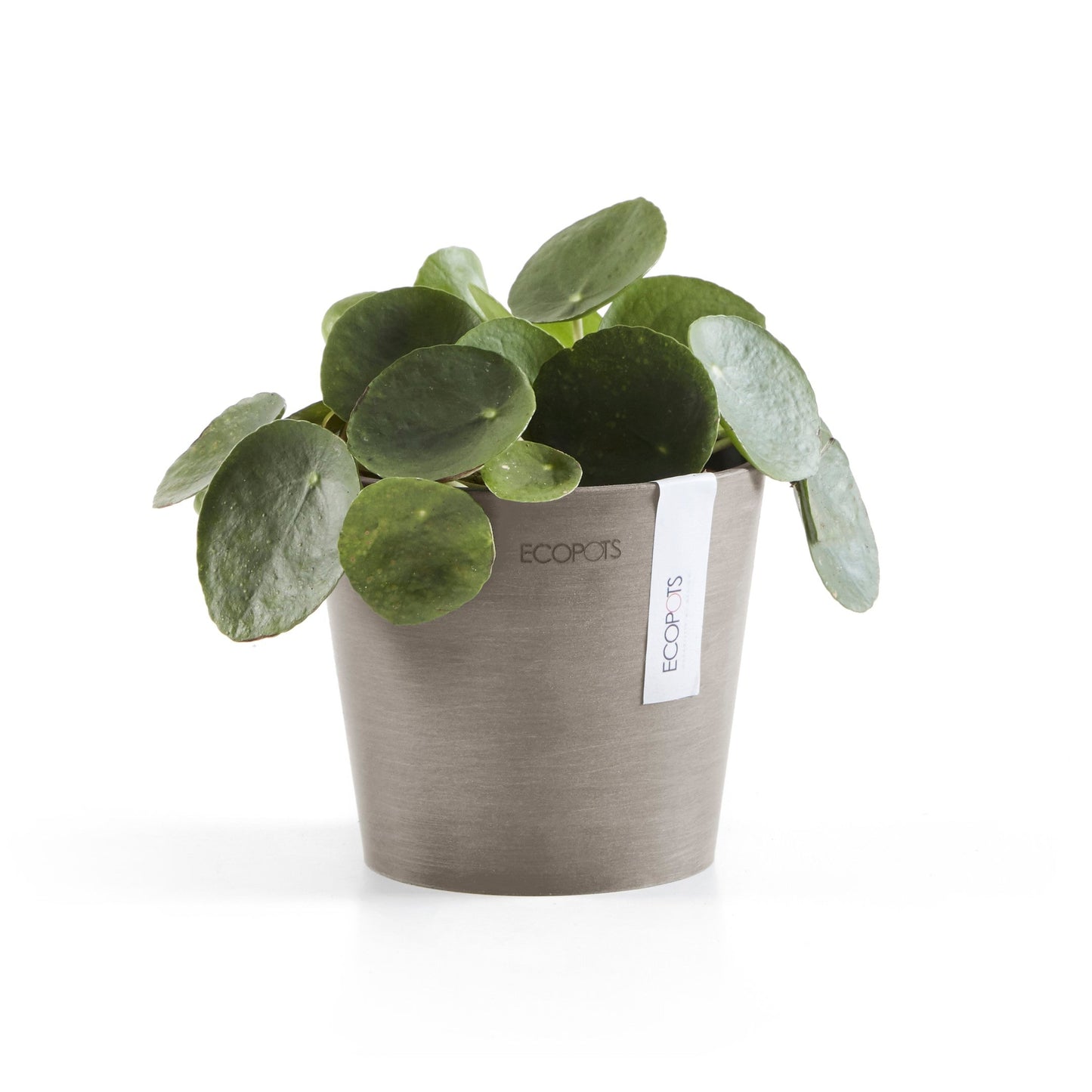 Kukkaruukku - Ecopots - Amsterdam 13cm taupe - Ecopotskauppa - Uuden aikakauden kukkaruukku