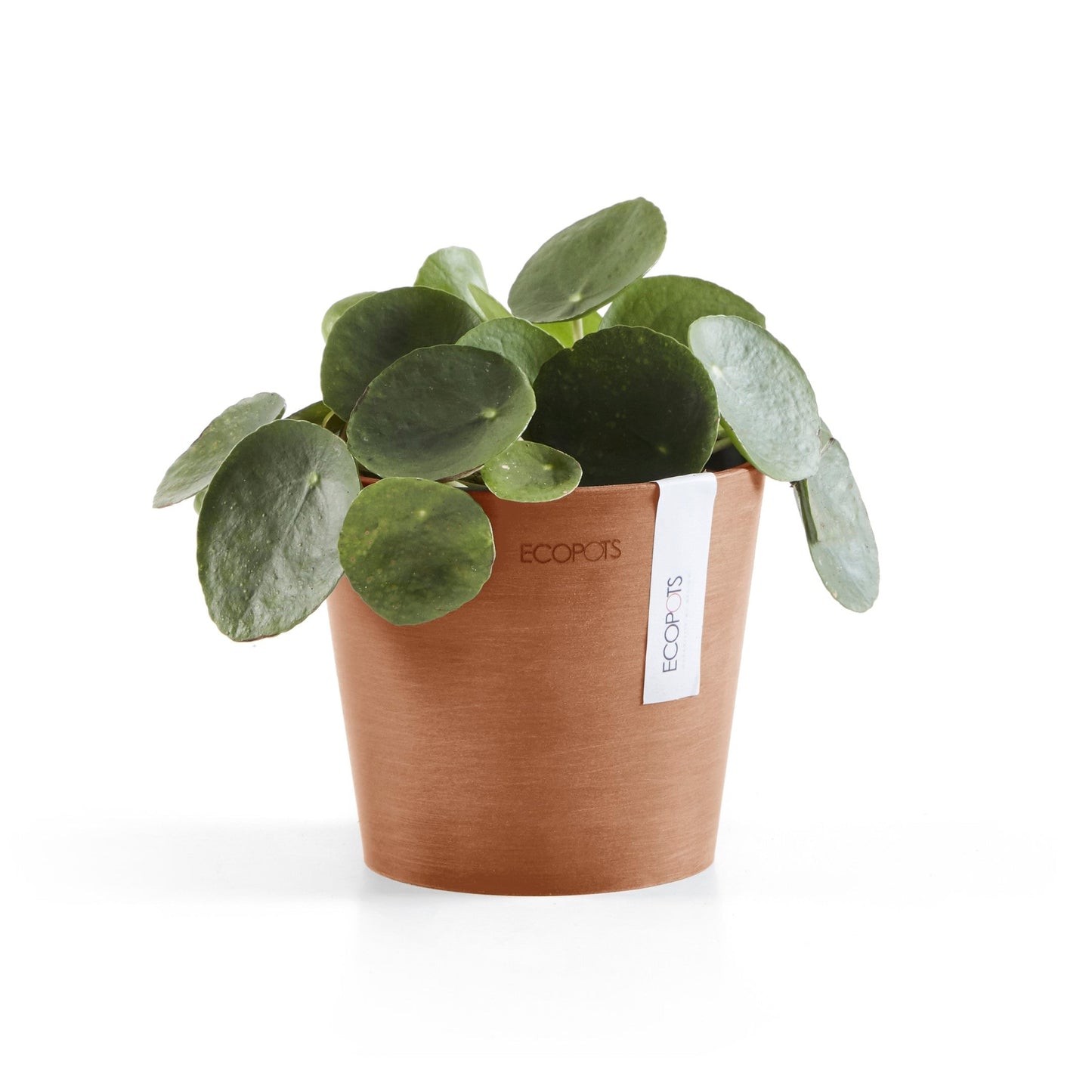 Kukkaruukku - Ecopots - Amsterdam 13cm terracotta - Ecopotskauppa - Uuden aikakauden kukkaruukku