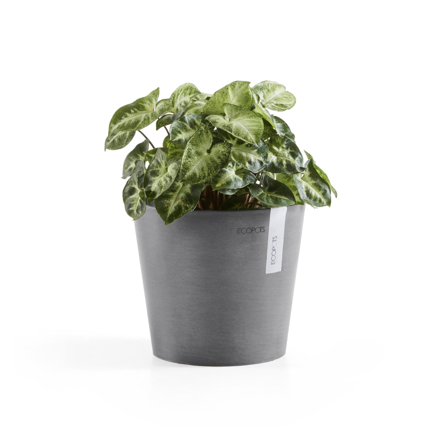 Kukkaruukku - Ecopots - Amsterdam 17cm harmaa - Ecopotskauppa - Uuden aikakauden kukkaruukku