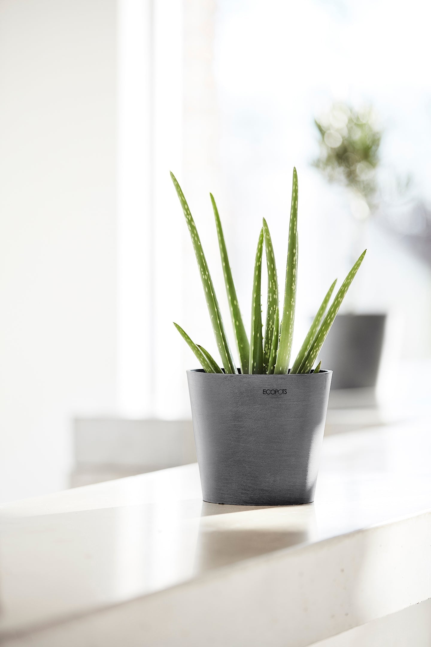 Kukkaruukku - Ecopots - Amsterdam 17cm harmaa - Ecopotskauppa - Uuden aikakauden kukkaruukku