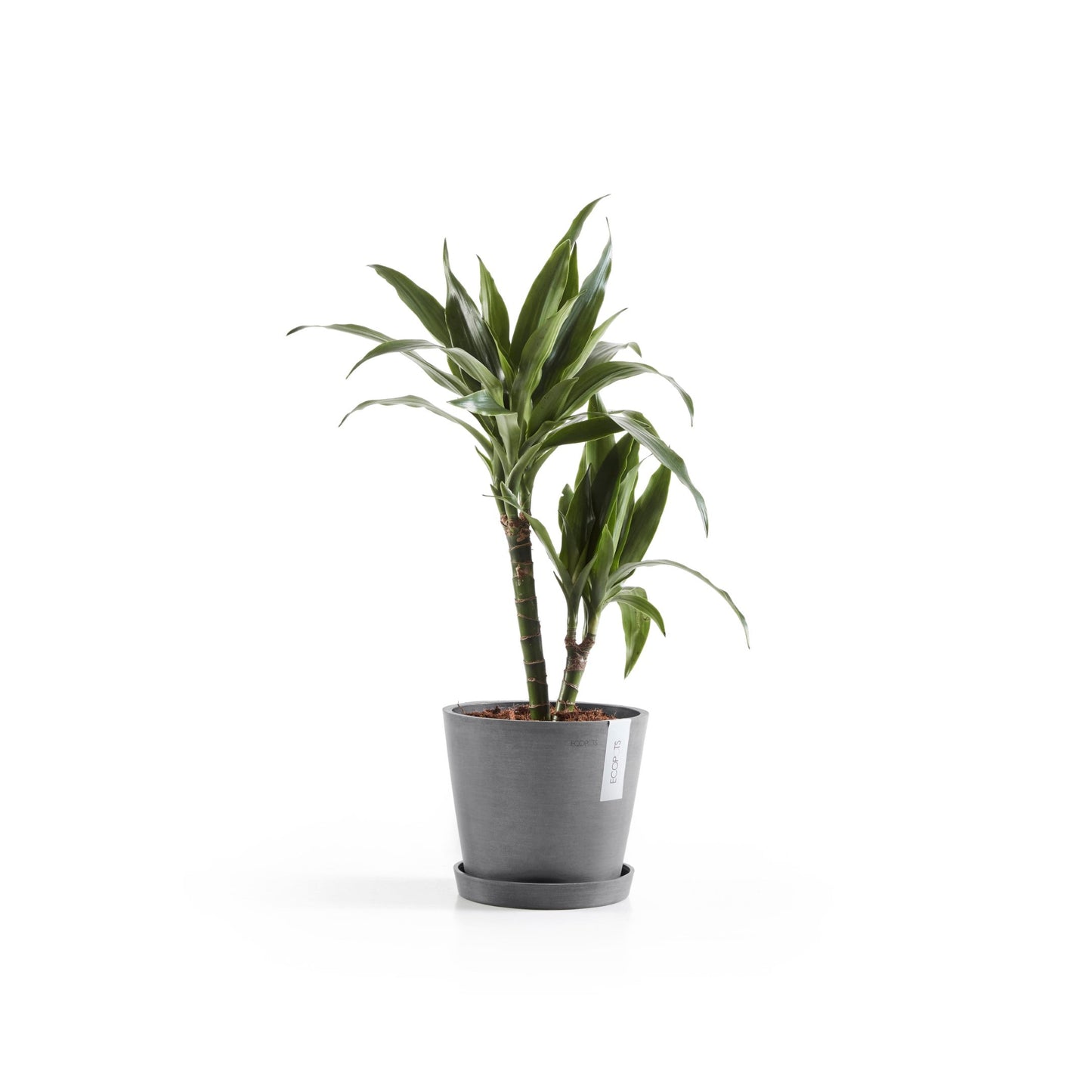 Kukkaruukku - Ecopots - Amsterdam 20cm harmaa - Ecopotskauppa - Uuden aikakauden kukkaruukku