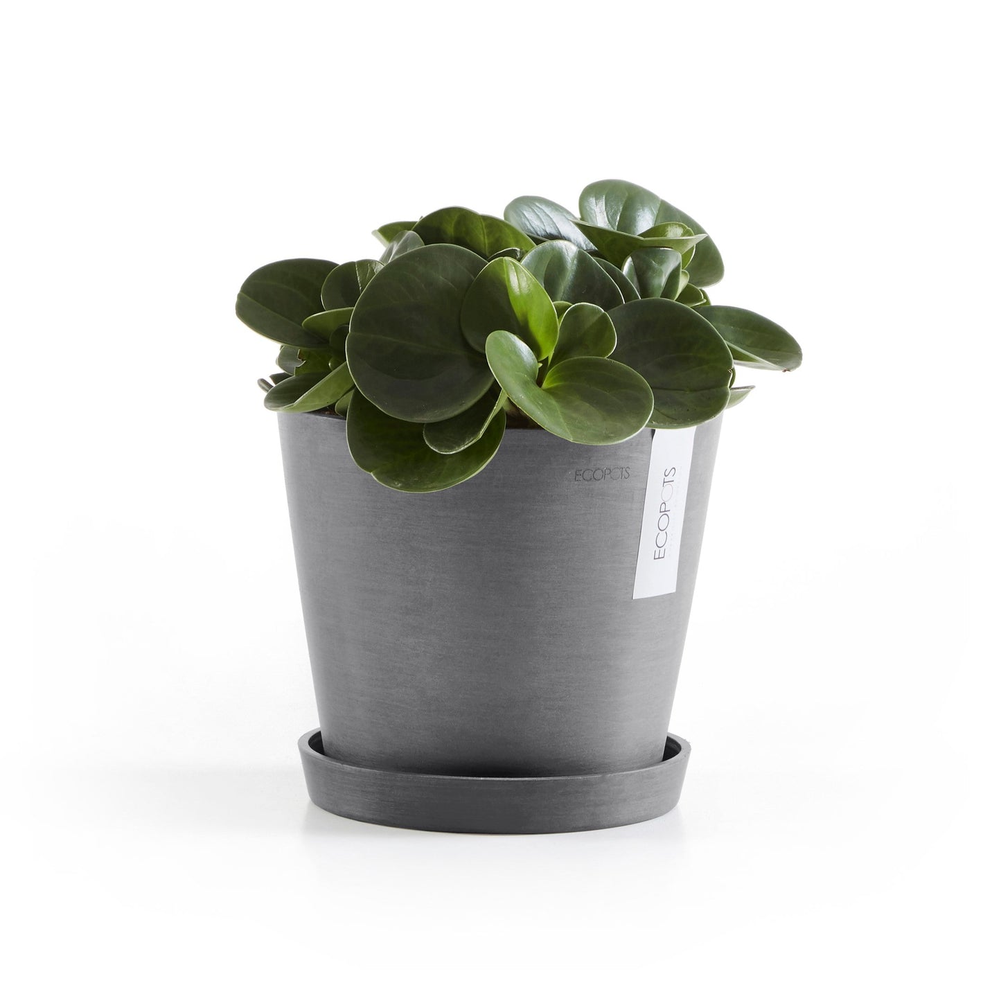 Kukkaruukku - Ecopots - Amsterdam 20cm harmaa - Ecopotskauppa - Uuden aikakauden kukkaruukku