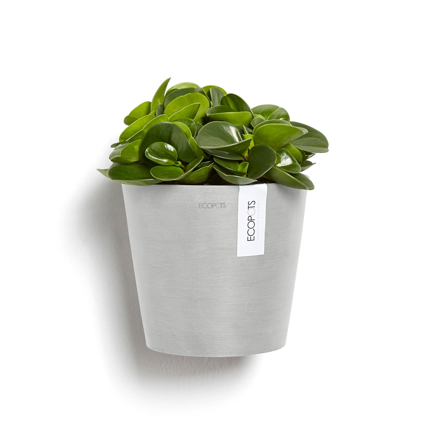 Kukkaruukku - Ecopots - Amsterdam 20cm seinäruukku valkoharmaa - Ecopotskauppa - Uuden aikakauden kukkaruukku