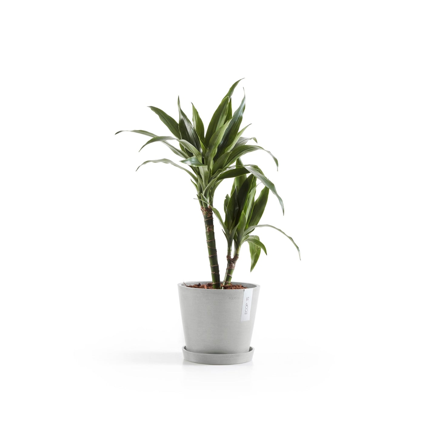 Kukkaruukku - Ecopots - Amsterdam 20cm valkoharmaa - Ecopotskauppa - Uuden aikakauden kukkaruukku