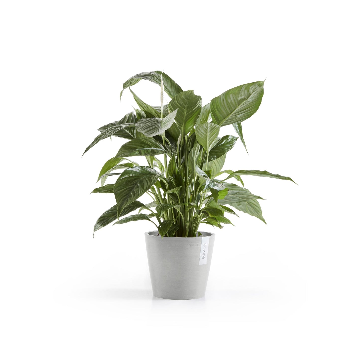 Kukkaruukku - Ecopots - Amsterdam 20cm valkoharmaa - Ecopotskauppa - Uuden aikakauden kukkaruukku