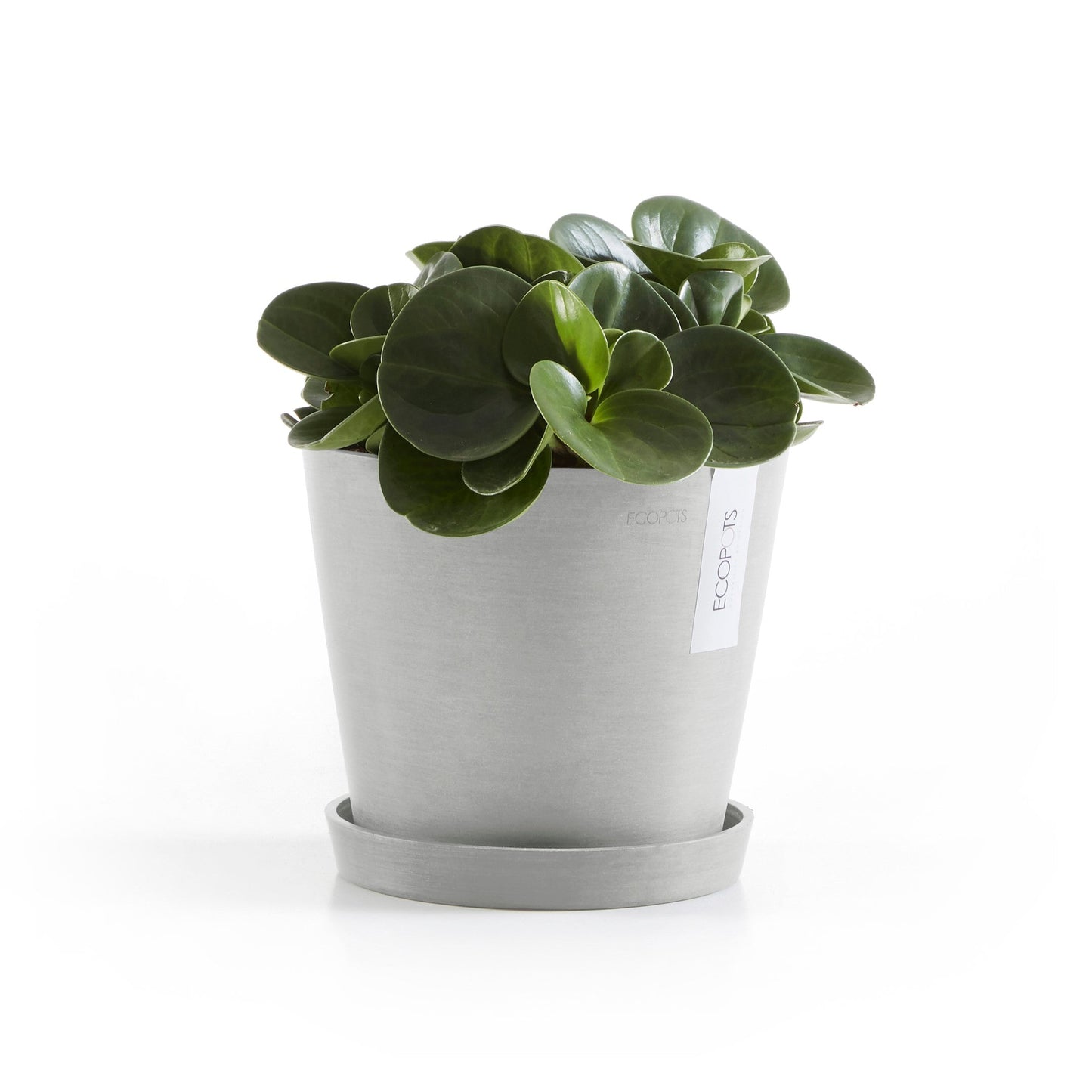 Kukkaruukku - Ecopots - Amsterdam 20cm valkoharmaa - Ecopotskauppa - Uuden aikakauden kukkaruukku