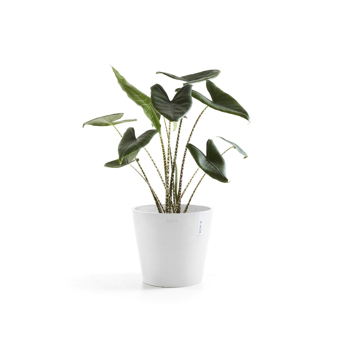 Kukkaruukku - Ecopots - Amsterdam 25cm valkoinen - Ecopotskauppa - Uuden aikakauden kukkaruukku