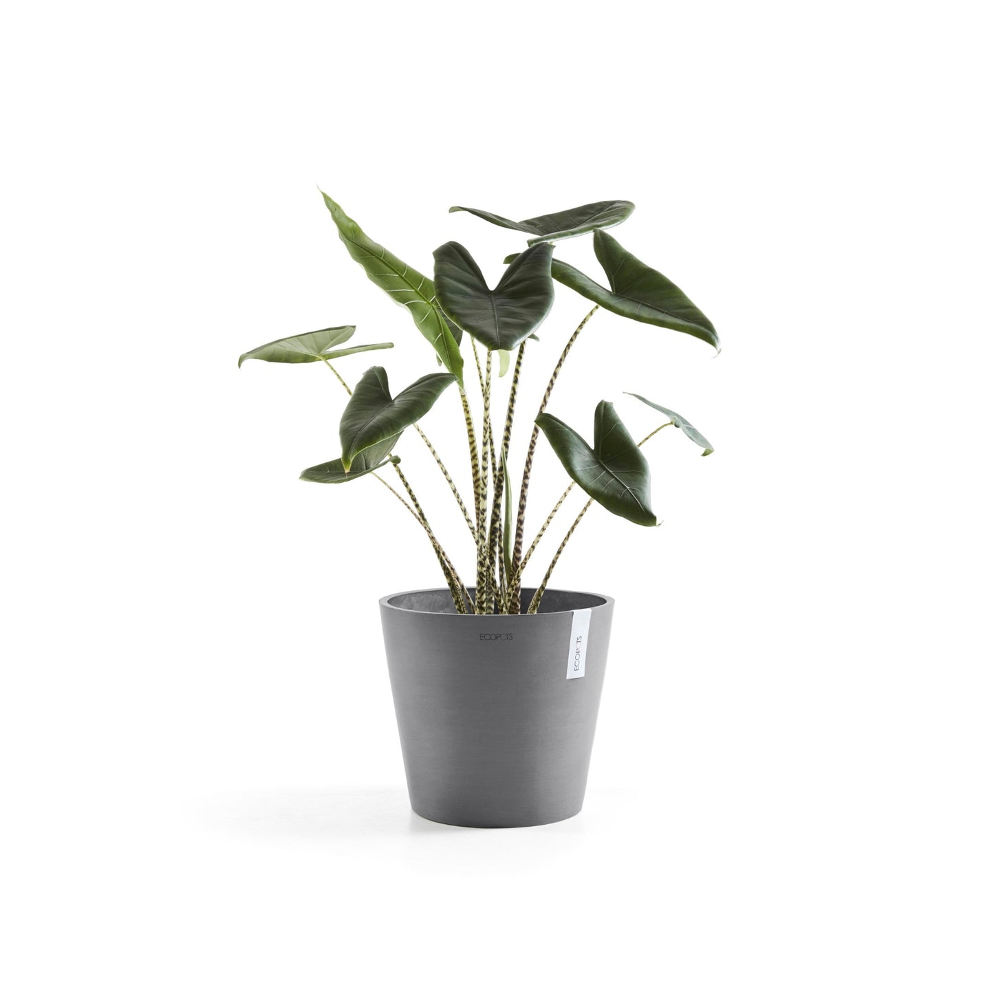 Kukkaruukku - Ecopots - Amsterdam 30cm harmaa - Ecopotskauppa - Uuden aikakauden kukkaruukku