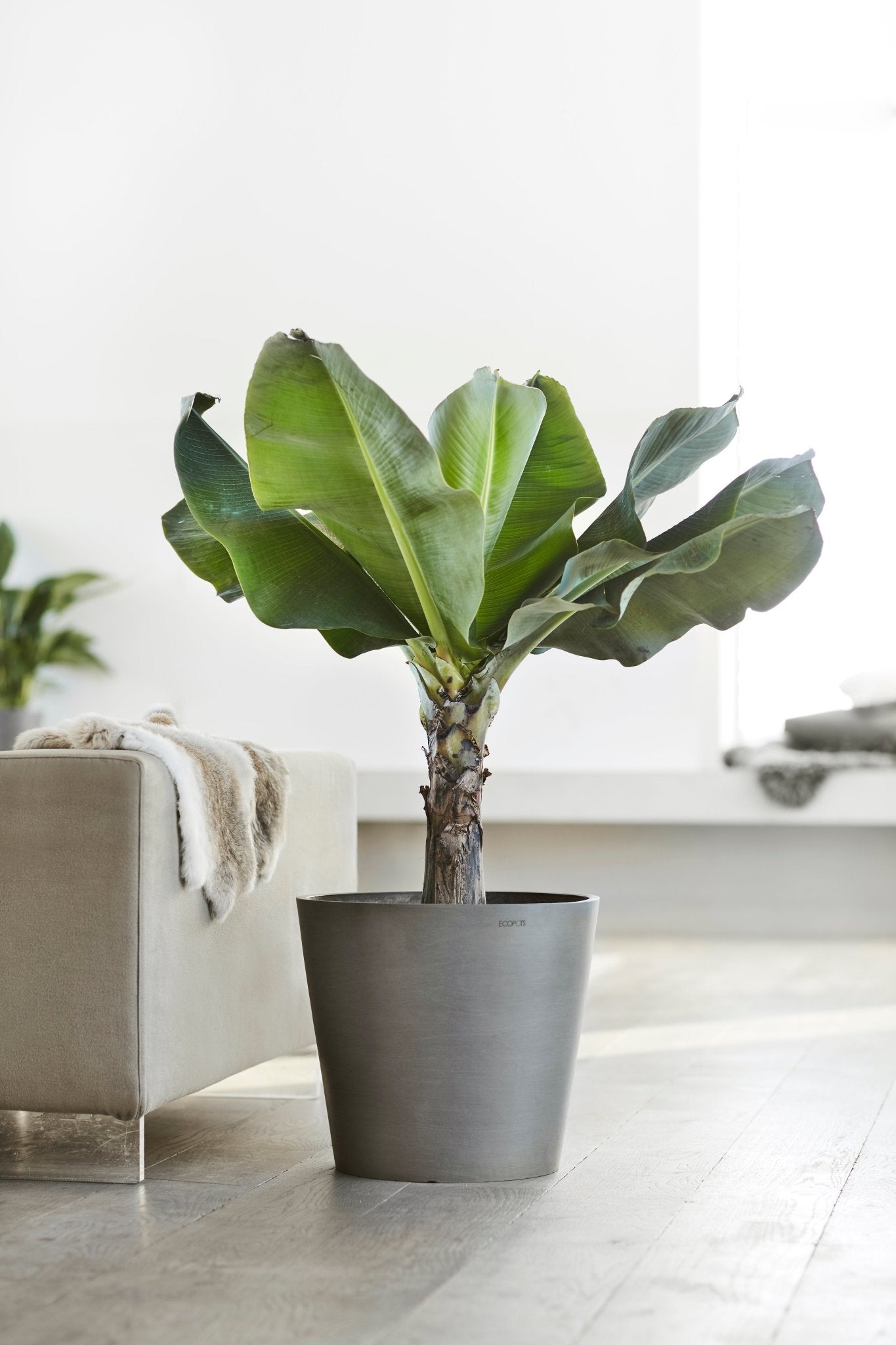 Kukkaruukku - Ecopots - Amsterdam 30cm harmaa - Ecopots - Uuden aikakauden kukkaruukku kierrätysmateriaalista