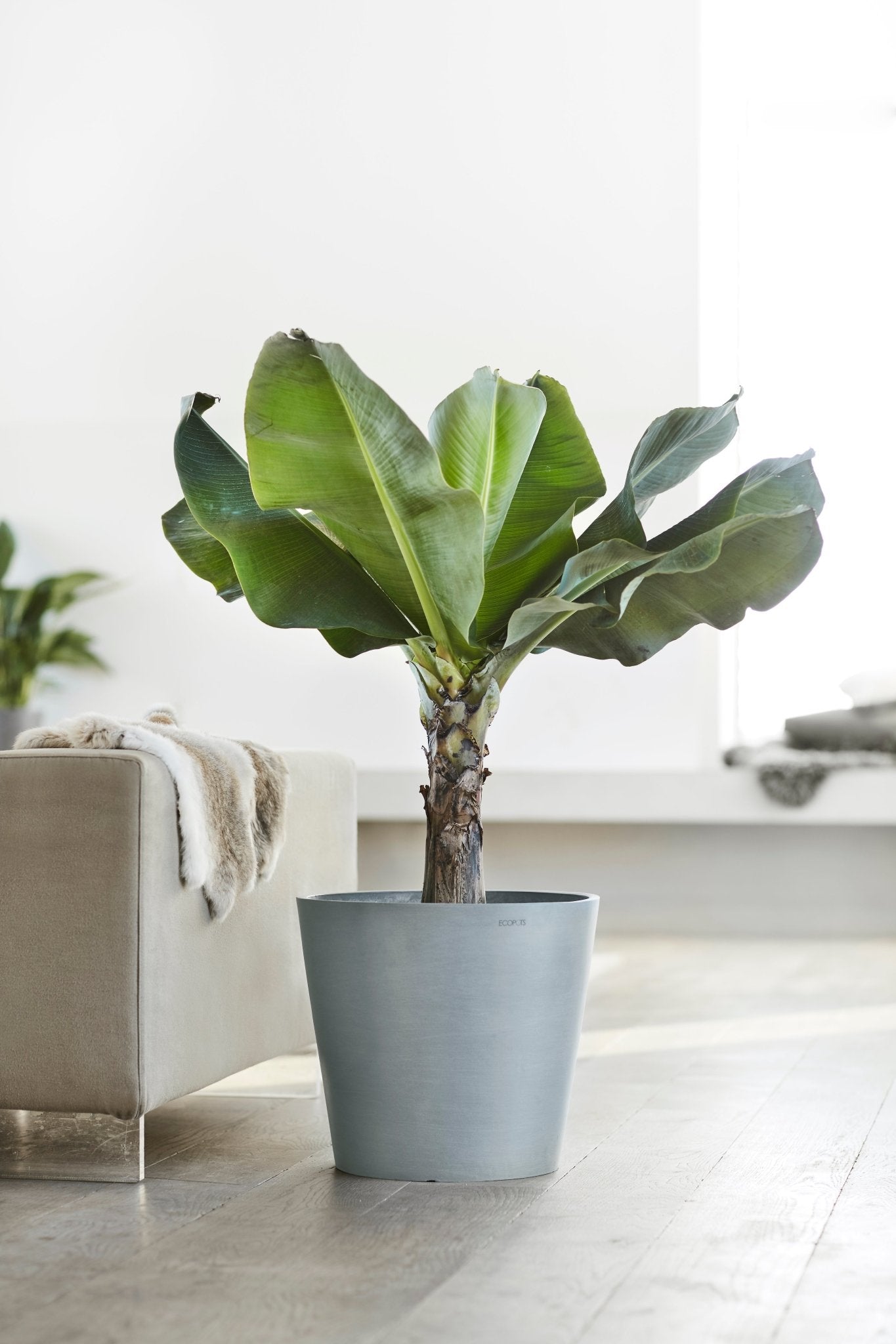 Kukkaruukku - Ecopots - Amsterdam 30cm siniharmaa - Ecopots - Uuden aikakauden kukkaruukku kierrätysmateriaalista