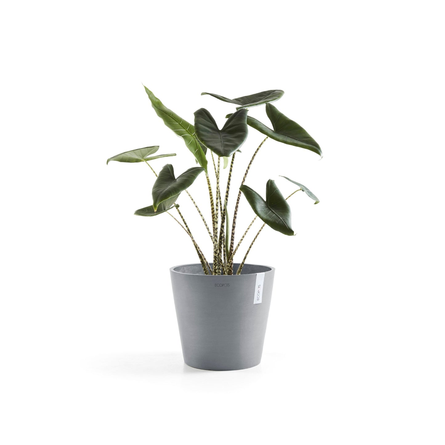 Kukkaruukku - Ecopots - Amsterdam 30cm siniharmaa - Ecopotskauppa - Uuden aikakauden kukkaruukku