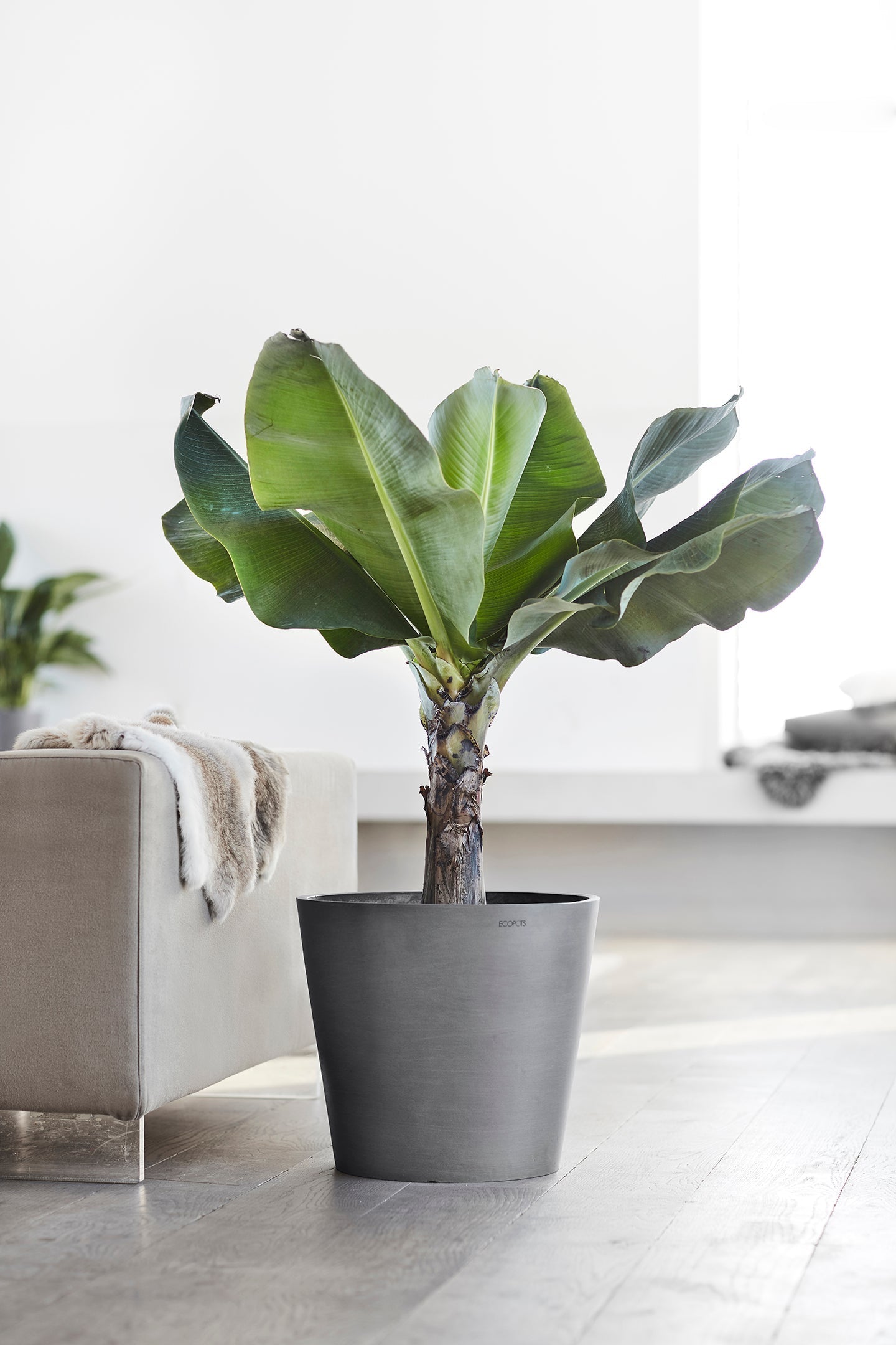 Kukkaruukku - Ecopots - Amsterdam 40cm harmaa - Ecopotskauppa - Uuden aikakauden kukkaruukku